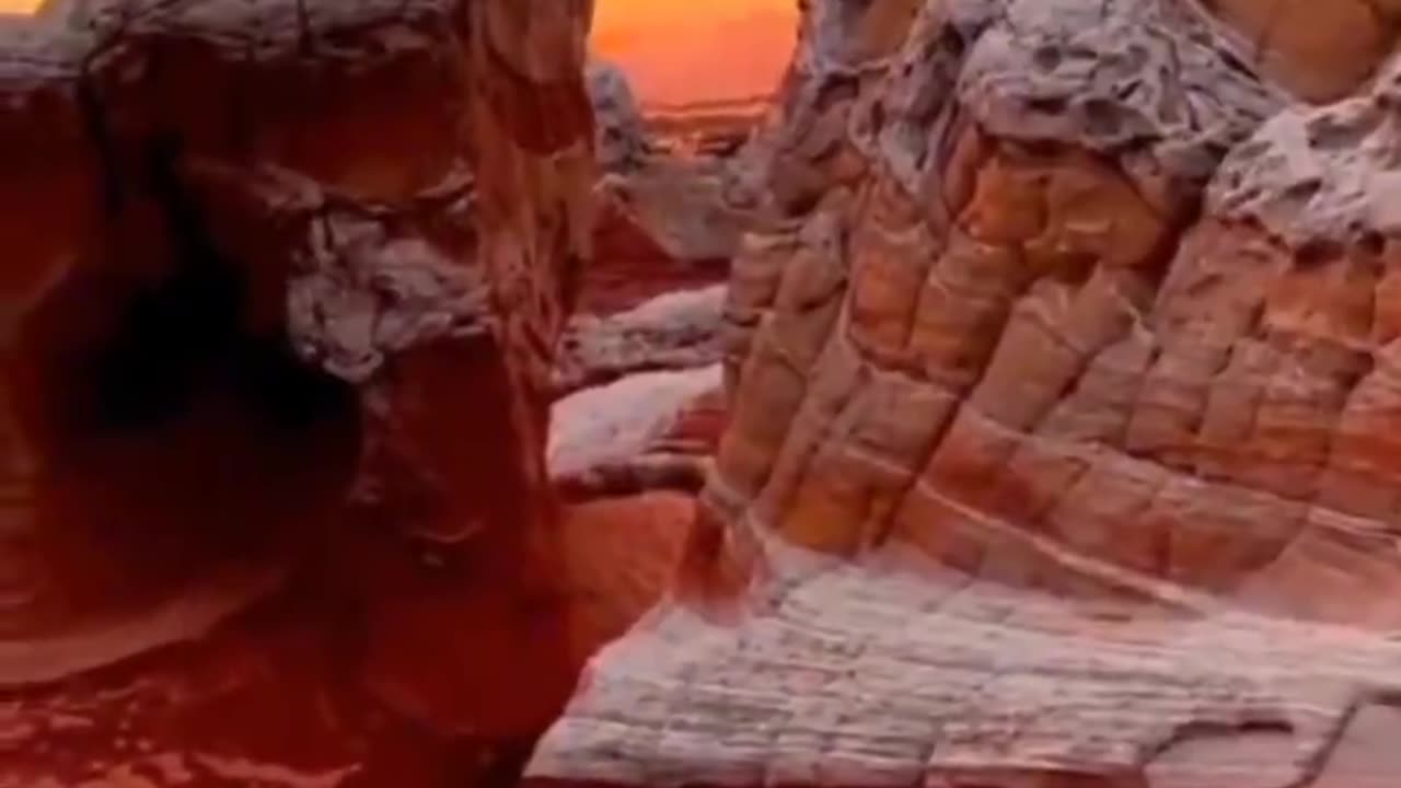 GEOLOGY IS HARDENED AND PETRIFIED BIOLOGY