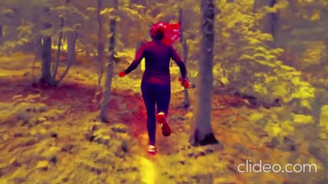 bora correr na floresta ingles 2