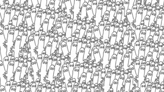 rando arand hatifna(2025)