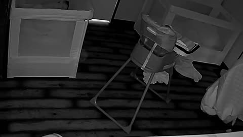 🤔👻 You Won't Believe What I Found! I'm New Here But Can I Get Some Input On This? | TheHauntingHour