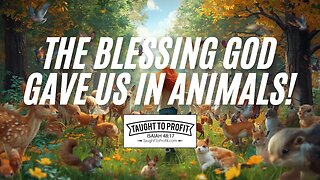 The Blessing God Gave Us In Animals! A Call To Christian Veganism!
