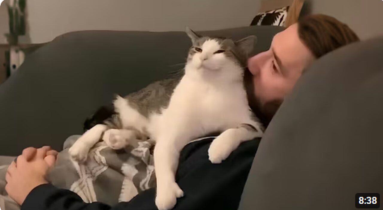 When Your Cat Steals Your Husband