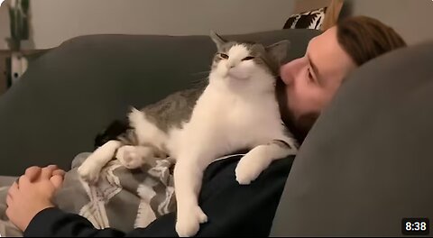 When Your Cat Steals Your Husband