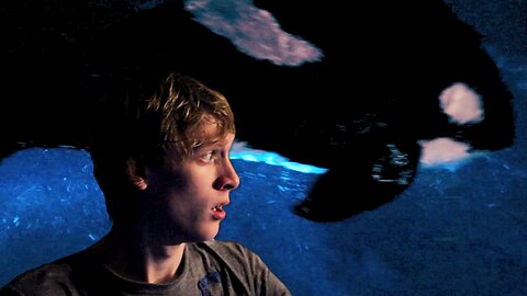 Whale Gets Hot Tub Frisky (Andrew Blaze - Randy Stair)