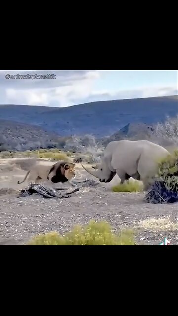 ANIMAL🦏🐃KINGDOM🦏🐘📸WILDLIFE🦁🦏SANCTUARY🦛🦏💫