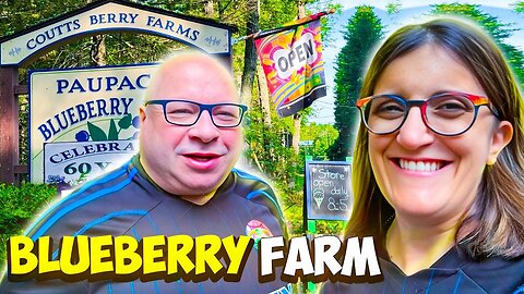 Invited at Blueberry Farm | A Day Out in New York