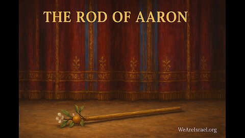 156 - Numbers 17 - The Rod Of Aaron