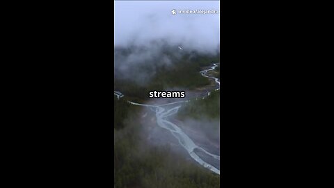 The Bible Described the WATER CYCLE 3,000 Years Before Science!! 🌊🌀