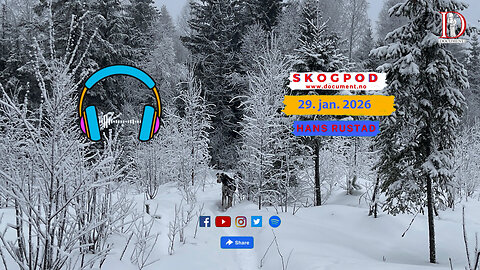 Skogpod 29. januar 2026