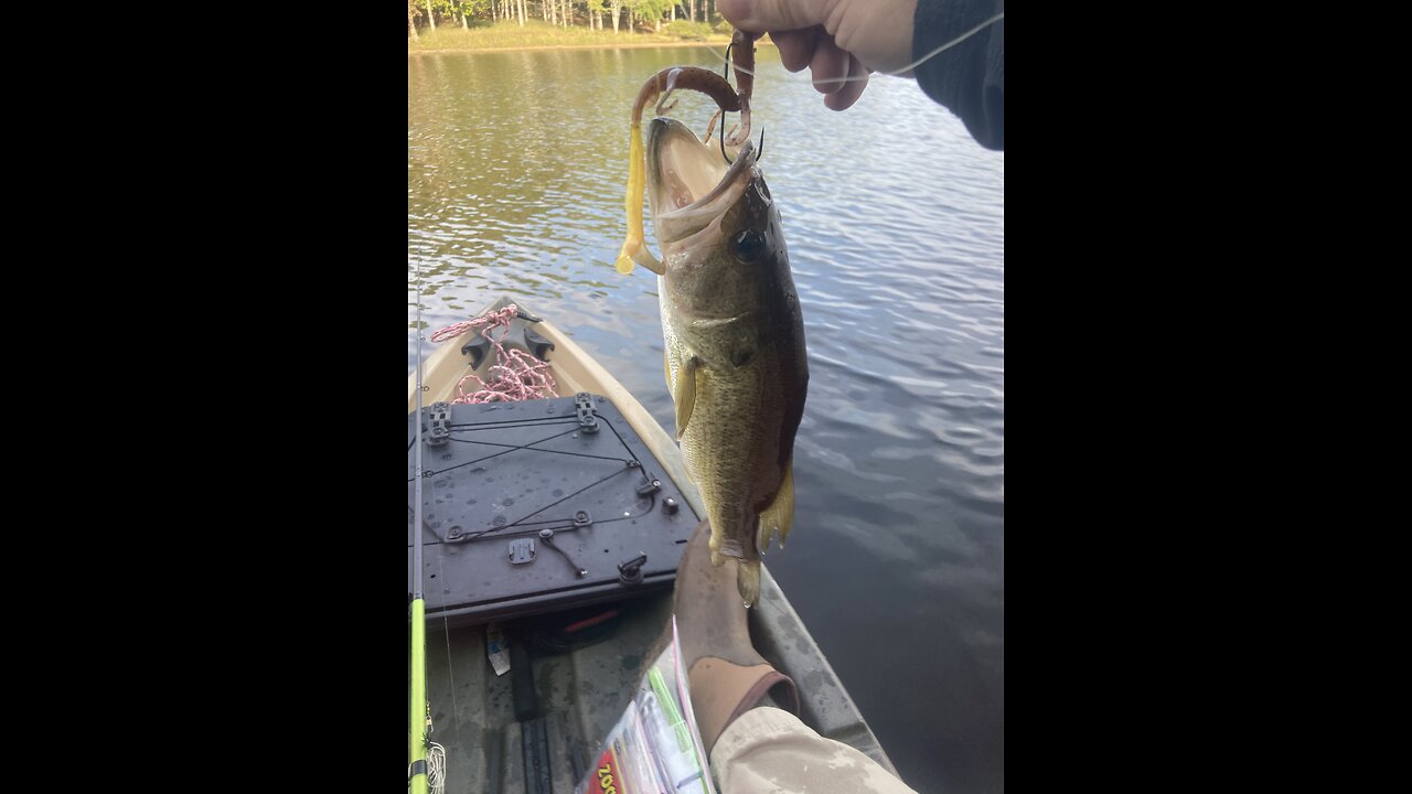 New lizard lure works Great with Texas Rig. Nice!