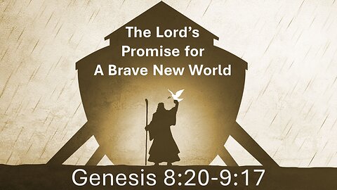 27 Genesis 8:1-20 (The flood II)