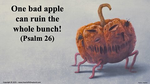 One bad apple can ruin the whole bunch! (Psalm 26), Daily Bible study from www.HeartofAShepherd.com.