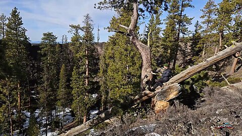 WordHike 139, Isa 35-36, Eph 2