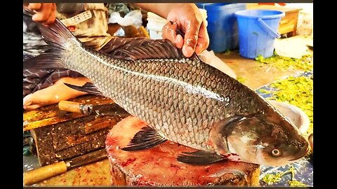 Amazing Giant Catla Carp Fish Cutting Skills In Bangladesh Fish Market