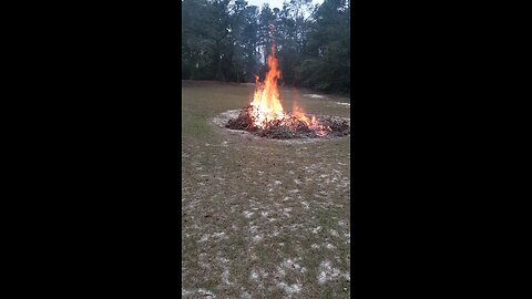 Nice fire