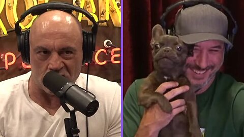 Joe Rogan BARKS at Young Jamie's Dog