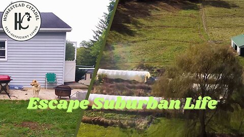 #36 Waking Up to Escape the Suburbs (1 Book Changed Everything)