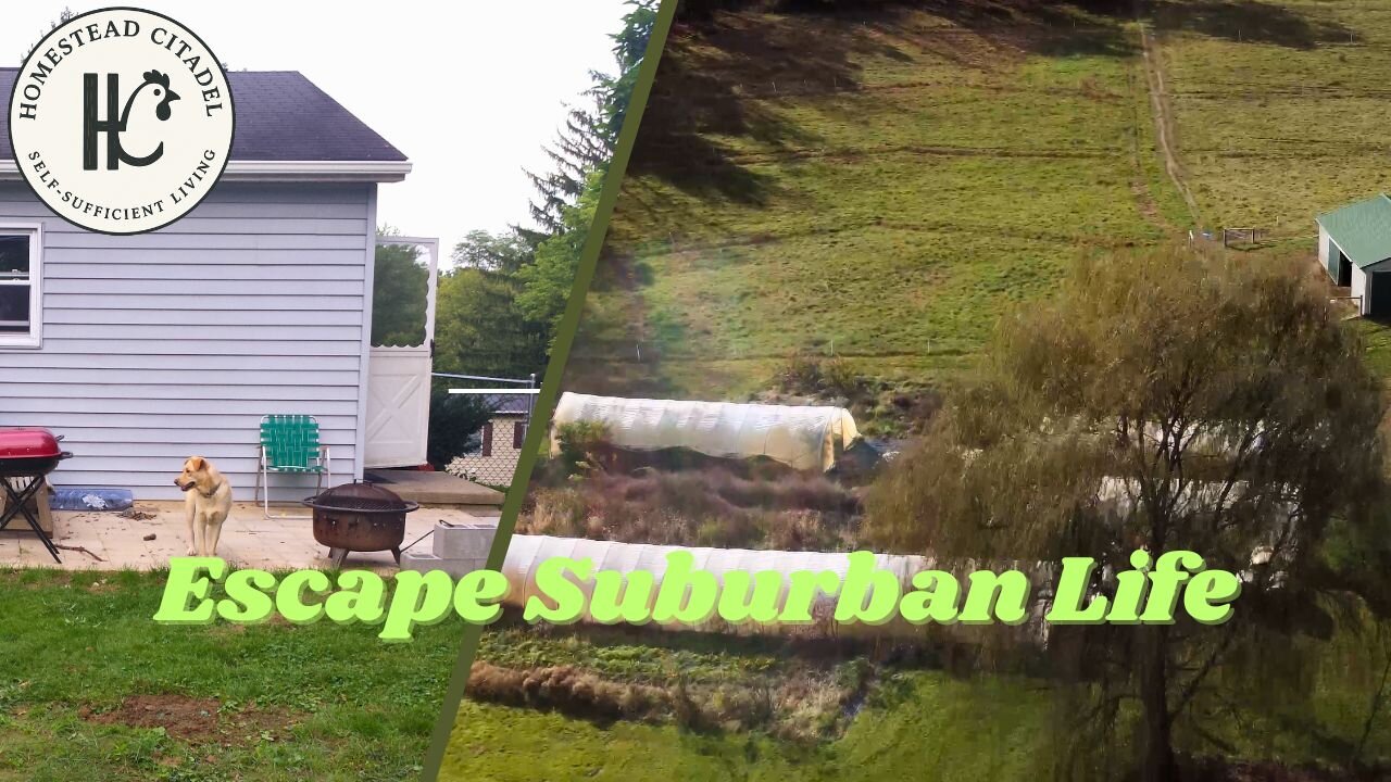 #36 Waking Up to Escape the Suburbs (1 Book Changed Everything)