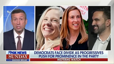 DNC chair reveals what's behind party's 'historic' election victories