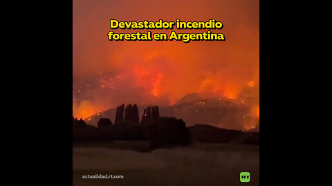 Fuerte incendio devora monte argentino