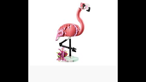 (Review) 31170 Pink Flamingo