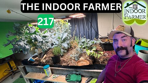 The Indoor Farmer ep 217, Stop In To Check Out My Journey Into Self Sustainability. Let's Grow