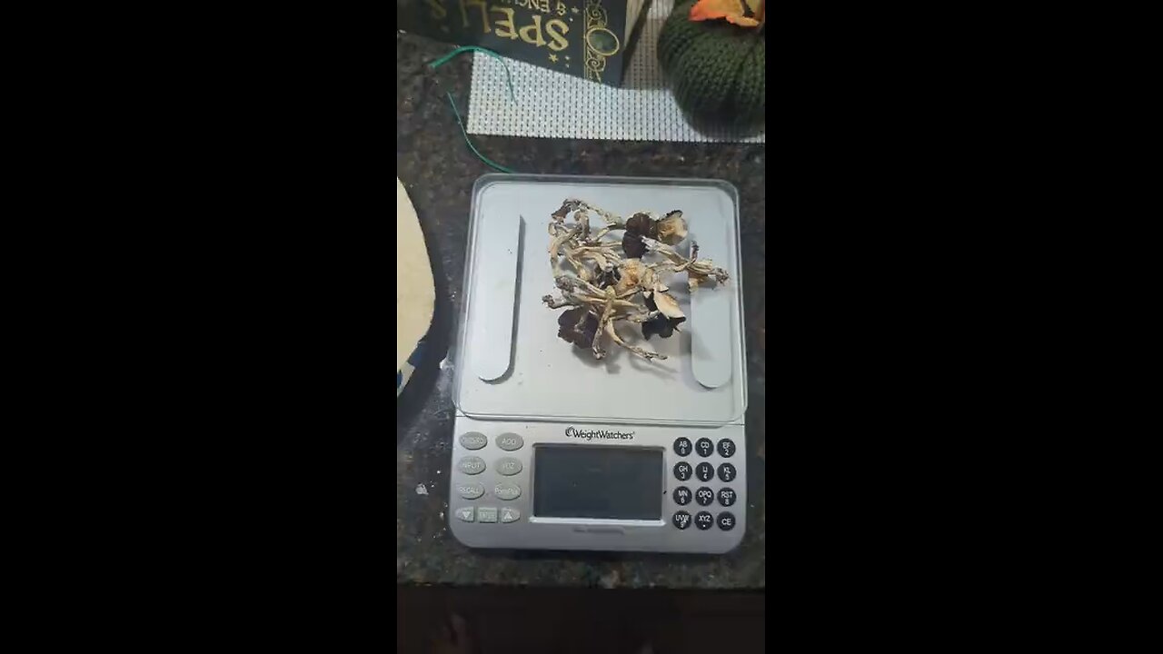 burrito tec 😋 🍄🌯