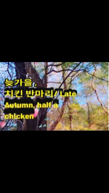 Vlog)늦가을 치킨 반마리/ Late Autumn, half a chicken.