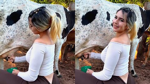 Today I milked a cow for the first time, it was really fun. #RUMBLETRANDING #RUMBLEWALLET
