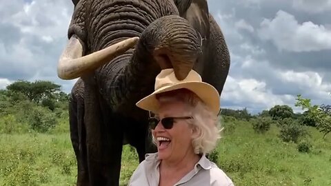 Elephant Steals Woman's Hat and Returns It When Asked | PSN Experiment