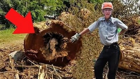 The loggers thought it was a typical day at work until they found this tree and… look what happened