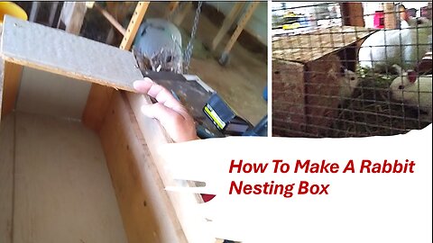 How To Make A Rabbit Nesting Box
