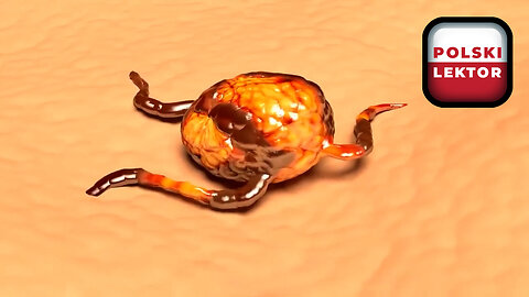 Teoria Metaboliczna Raka i biznes nowotworowy | Polski lektor