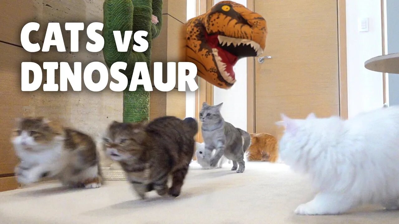 Cats vs Dinosaurs: The Ultimate Kittisaurus Showdown!