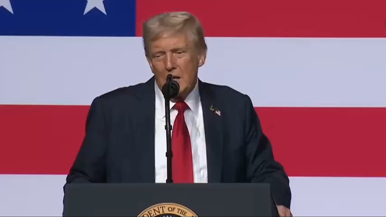 «I don't like some of the ships you're building. I'm very aesthetically pleasing