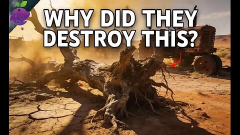 The Ancient Food America Tried to Erase (Now It Might Save Us)