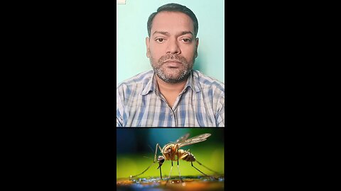 डेंगू बुखार में पेट फूलने का इलाज ।