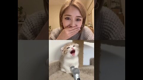 Japanese Girl Reacts to Cute Singing Cat #sora2 #kitten Sora 2 Cat #kitty #cat #vo3