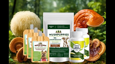 The Mushroom Ladies Spermidine Mushrooms @ https://sheepdawgspets.petclub247.com/