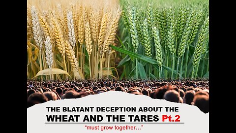 01-04-25 THE BLATANT DECEPTION ABOUT THE WHEAT AND THE TARES Pt.2 AY - By Evangelist Benton Callwood