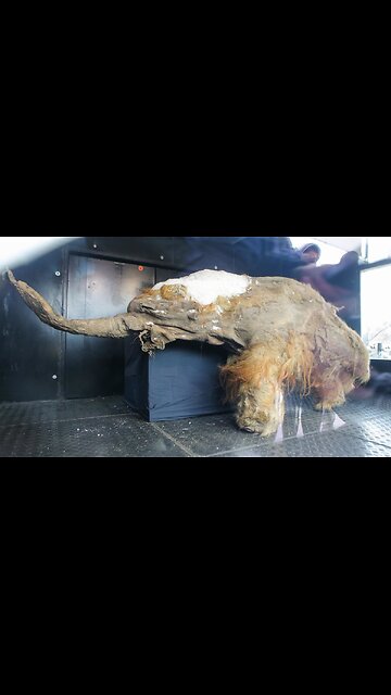 Antarctica is a Mysterious Place