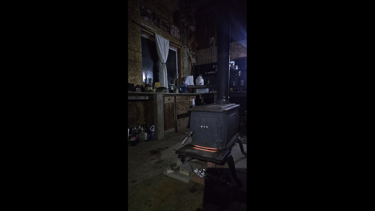 This week's food bill - ZERO!