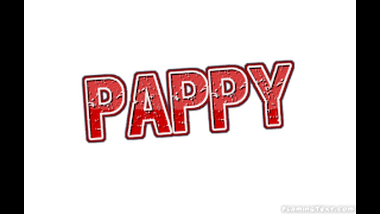 canine musical freestyle a dog sport where a dog and handler perform a routine to music