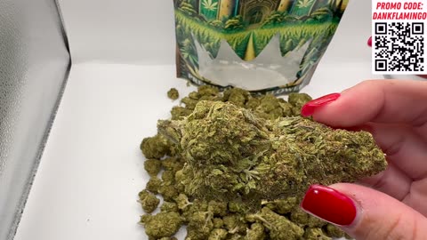 Bulk Wholesale Budget $225 Half LB of the Scout's Honor from THCA King! Mrs Dank Flamingo!!