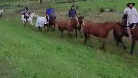 Arrancó la Marcha a Masoller desde Tacuarembó 04/09/2025