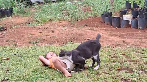 Kiddo Slide-Tackled by the Cat