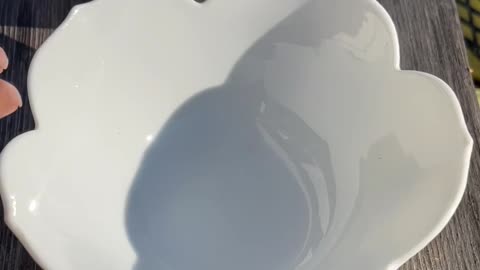 Vintage of Mid 20th-Century Porcelain Nesting Lotus Serveware Bowls, Japan