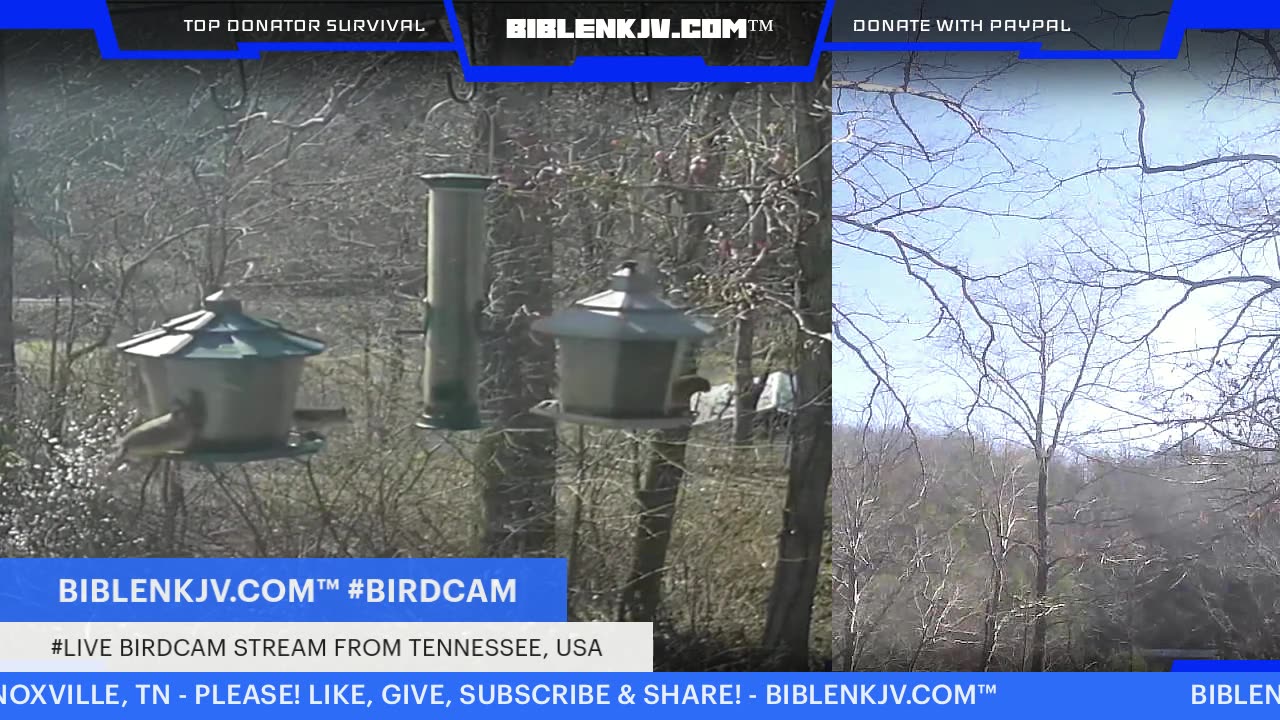 BIBLENKJV.COM™ 1/22/2026 #LIVE #BIRDCAM #WEATHER