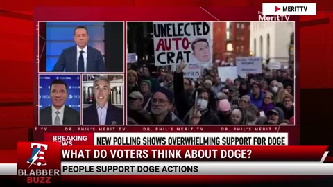 What Do Voters Think About DOGE?