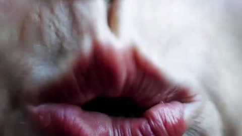 😨👵 Don't Eat Them! The Creepy Alien Grandma | TheHauntingHour